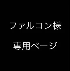 ファルコン様　専用ページ