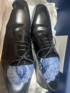 2026年最新】トリートドレッシング 靴の人気アイテム - メルカリ