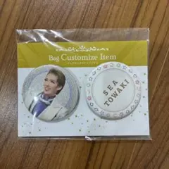 Item thumbnail for item 1657b917-c041-4717-8b19-289e38411004