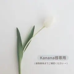 ♩ Kanana様専用出品