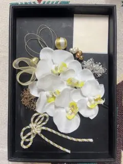 布製胡蝶蘭髪飾り　ハンドメイド　白&金　成人式 前撮り 和装　前撮り　和装 紐