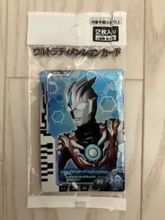 ココイチ様 リクエスト 2点 まとめ商品