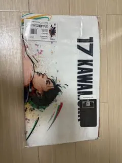 Item thumbnail for item 768ce376-d72b-4ad7-ad42-10d0c93678f4