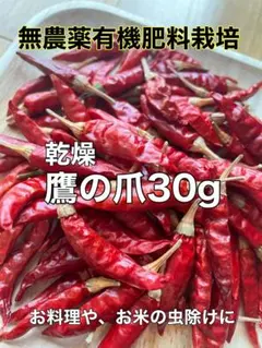 いなちゃん様 リクエスト 2点 まとめ商品