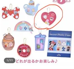 シークレットカードフォルダー フォトケース ベイマックス