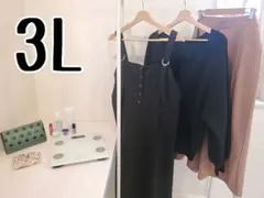 ☆第1弾 まとめ売り☆ 4L 3L 大きいサイズ レディース まとめ