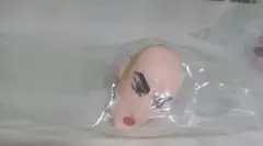 クレヨンしんちゃん あそーとコレクション A賞 リング マカオ