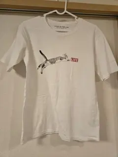 A DAY IN THE LIFE コラボTシャツのサムネイル