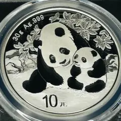 2026年最新】パンダ銀貨 2024の人気アイテム - メルカリ