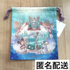 ディズニーシー 24周年 きんちゃく