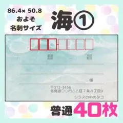 【海】宛名シール　差出人シール　普通サイズ　40枚　シンプル　風景
