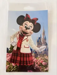 新品 ディズニー ミニー ポストカード イマジニングザマジック 春キャン