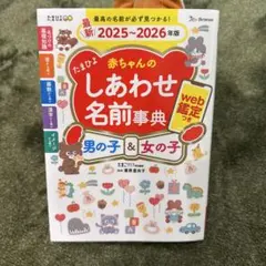 Item thumbnail for item 0c857a6c-be56-448d-9f25-08df25fc8181