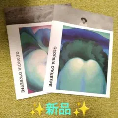 ✨非売品✨新品✨GEORGlA O'KEEFFE写真集✨2冊セット