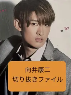 SnowMan 向井康二 切り抜きファイル