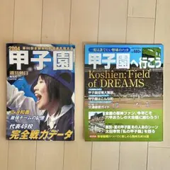 ミズノMIZUNO メンズ スポーツウェア吸汗速乾Tシャツ LLネイビー男女兼用のサムネイル