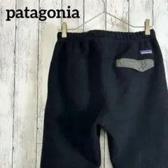 patagonia Synchilla Snap-T Pants
