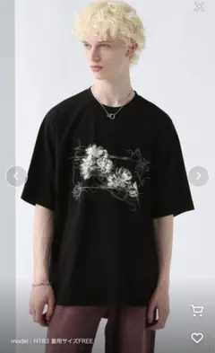 【接触冷感】フロントグラフィックプリントカット(HARE)