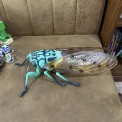 2025年最新】蝉の標本の人気アイテム - メルカリ