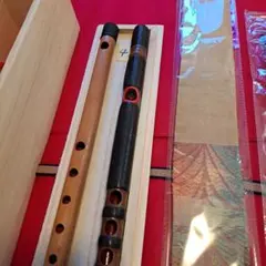 Item thumbnail for item d76bf64b-4172-47ad-bf26-9ff5051d8801