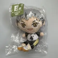 ハイキュー フリューくじ ぬいもっち マスコット 木兎光太郎 匿名配送