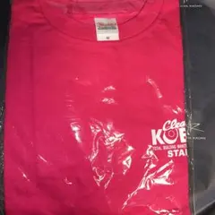 Item thumbnail for item 192a423c-f581-463b-99e3-ac1c88883f44