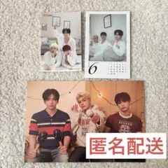 &TEAM シーグリ 2026 YUMA HARUA MAKI ユニットセット