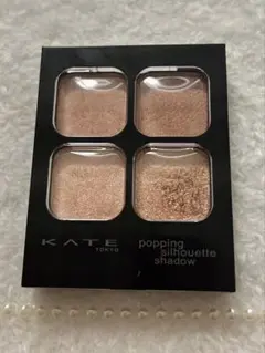 ケイト　ポッピングシルエットシャドウ　ＯＲ－１
