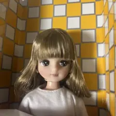 新品未開封★お顔厳選★2016年AWカジュアルコレクションモデル　きらちゃん Yahoo!オークション - 新品未開封 お顔厳選 2016年AWカジュアル