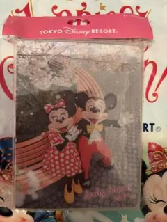 東京ディズニーリゾート ポストカードホルダー
