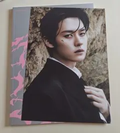 straykids スキズ DO IT 通常盤 リノ