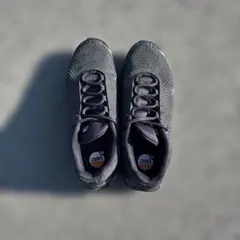 K*a様 Nike airMAX DN