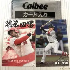 Item thumbnail for item b1f3c010-fab0-4f42-b53c-5052c9c4d7b7