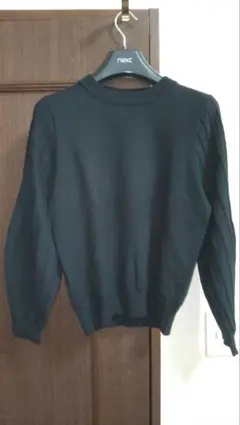 Vis 黒 長袖ニット フリーサイズ