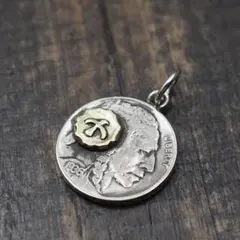 ターキッシュ・ポインター トルコのコインネックレス - メルカリ