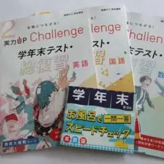 Item thumbnail for item e715a5be-92e6-471b-a7b2-fb9c77613c76