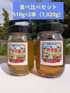 希少日本みつばち 天然はちみつ 食べ比べセット 510g×2本（1,020g） 希少日本みつばち 天然はちみつ 食べ比べセット 510g×2本（1,020g