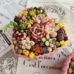 多肉植物寄せ植え　そのまま飾れる寄せ植え　小さなハート2個セット♡