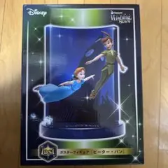 Disney Wishing Stars ピーターパン フィギュア