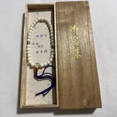 本珊瑚 帯留 桜彫刻 羽織紐 セット 専用ケース付 アンティーク - メルカリ