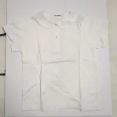 Item thumbnail for item 5a011420-7ae5-4264-9be8-07115ec717e2