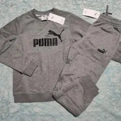 新品 PUMA トレーナー&パンツ スウェットスーツ グレー サイズ160のサムネイル