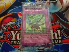 2026年最新】遊戯王 フランス版の人気アイテム - メルカリ