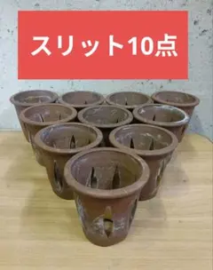 さ*う様 丹波立杭焼 伝市鉢 10点まとめ売り 山野草鉢 植木鉢 盆栽 ガーデニ ①丹波立杭焼 伝市鉢 10点まとめ売り 山野草鉢 植木鉢 盆栽