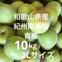 紀州南高梅 青梅 秀品（最高級品） 3L 10kg 送料込み - メルカリ