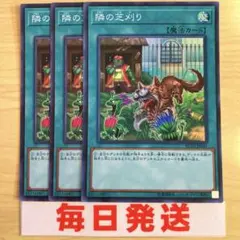 遊戯王 隣の芝刈り スーパー 3枚 ピヴォ