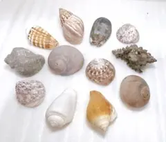 ちぃ様 リクエスト 2点 まとめ商品