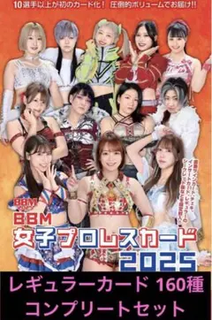 BBM 2023 女子プロレスカード 新品未開封ボックス シュリンク付き BBM 2023 女子プロレスカード 新品未開封ボックス シュリンク付