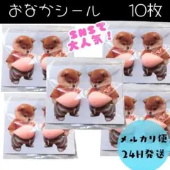10枚　おなかシール　柴犬　ぷにぷにシール　ぷくぷくシール　３D　立体　シール
