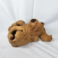 2025年最新】木の根 オブジェの人気アイテム - メルカリ